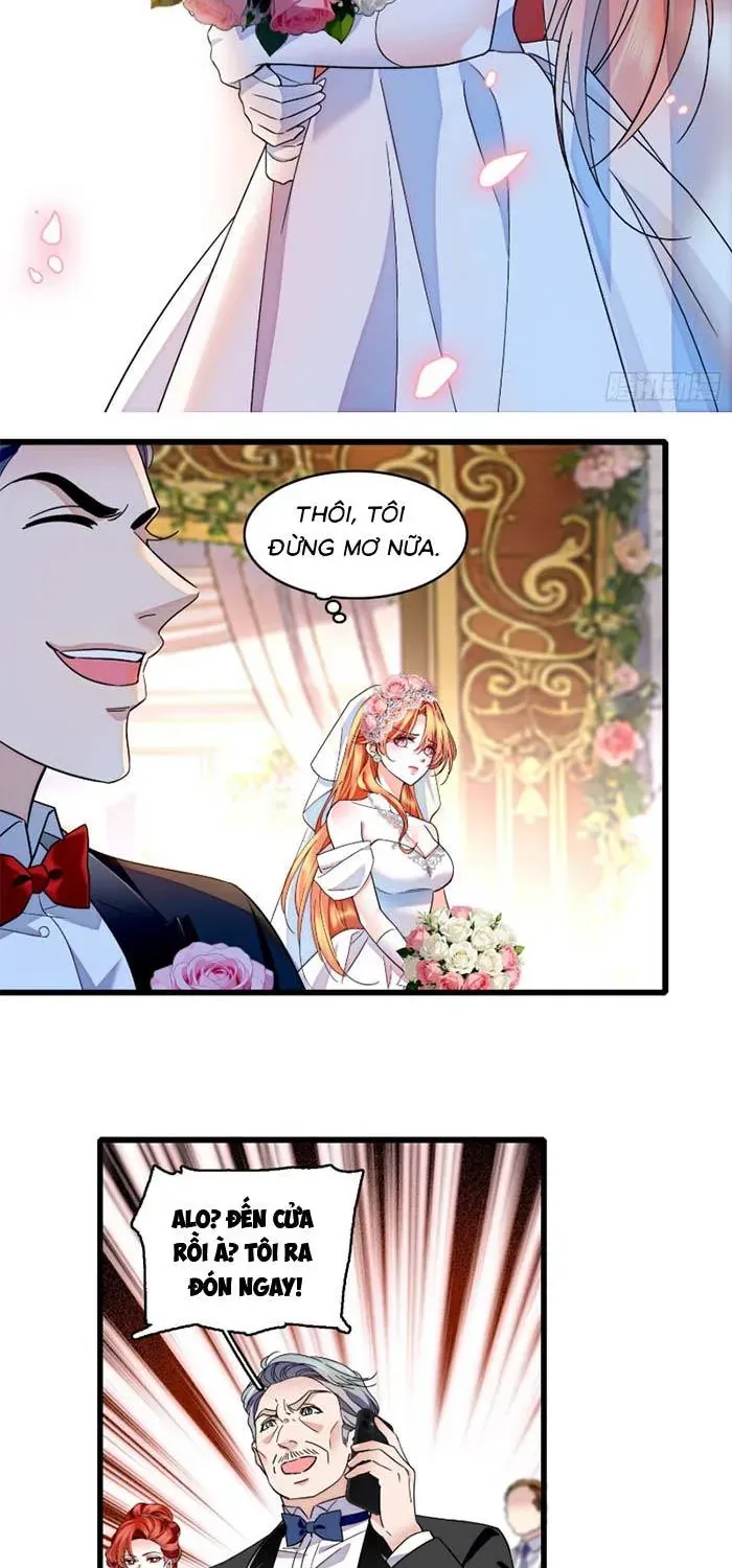 Tỷ Phú Ở Rể Chapter 32 - Trang 29