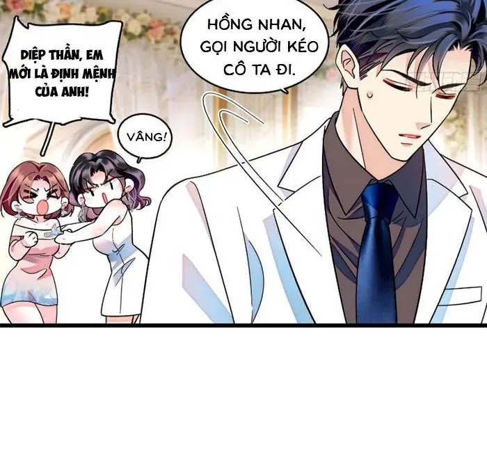Tỷ Phú Ở Rể Chapter 33 - Trang 24