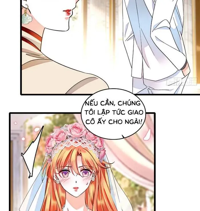 Tỷ Phú Ở Rể Chapter 33 - Trang 26