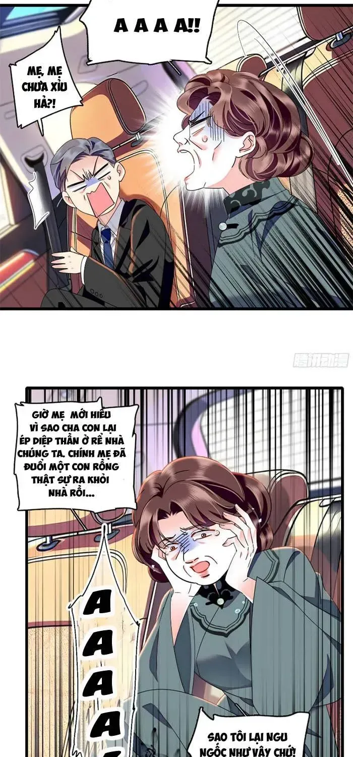 Tỷ Phú Ở Rể Chapter 33 - Trang 29