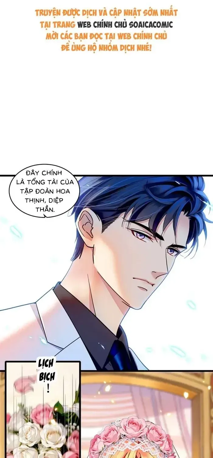 Tỷ Phú Ở Rể Chapter 33 - Trang 3