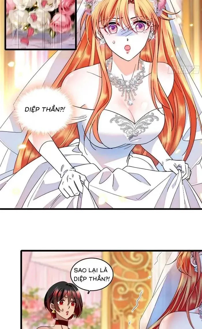 Tỷ Phú Ở Rể Chapter 33 - Trang 4