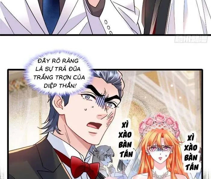 Tỷ Phú Ở Rể Chapter 35 - Trang 30