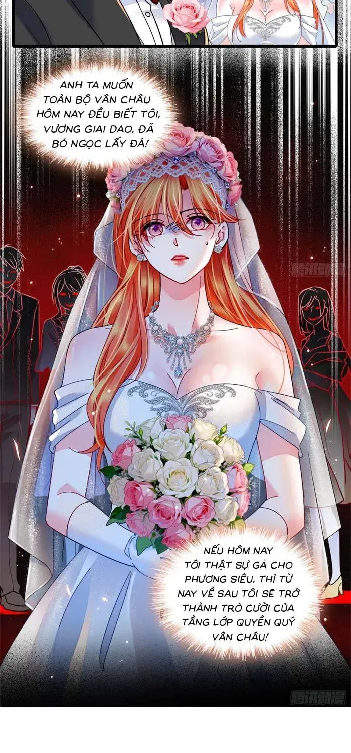 Tỷ Phú Ở Rể Chapter 35 - Trang 31