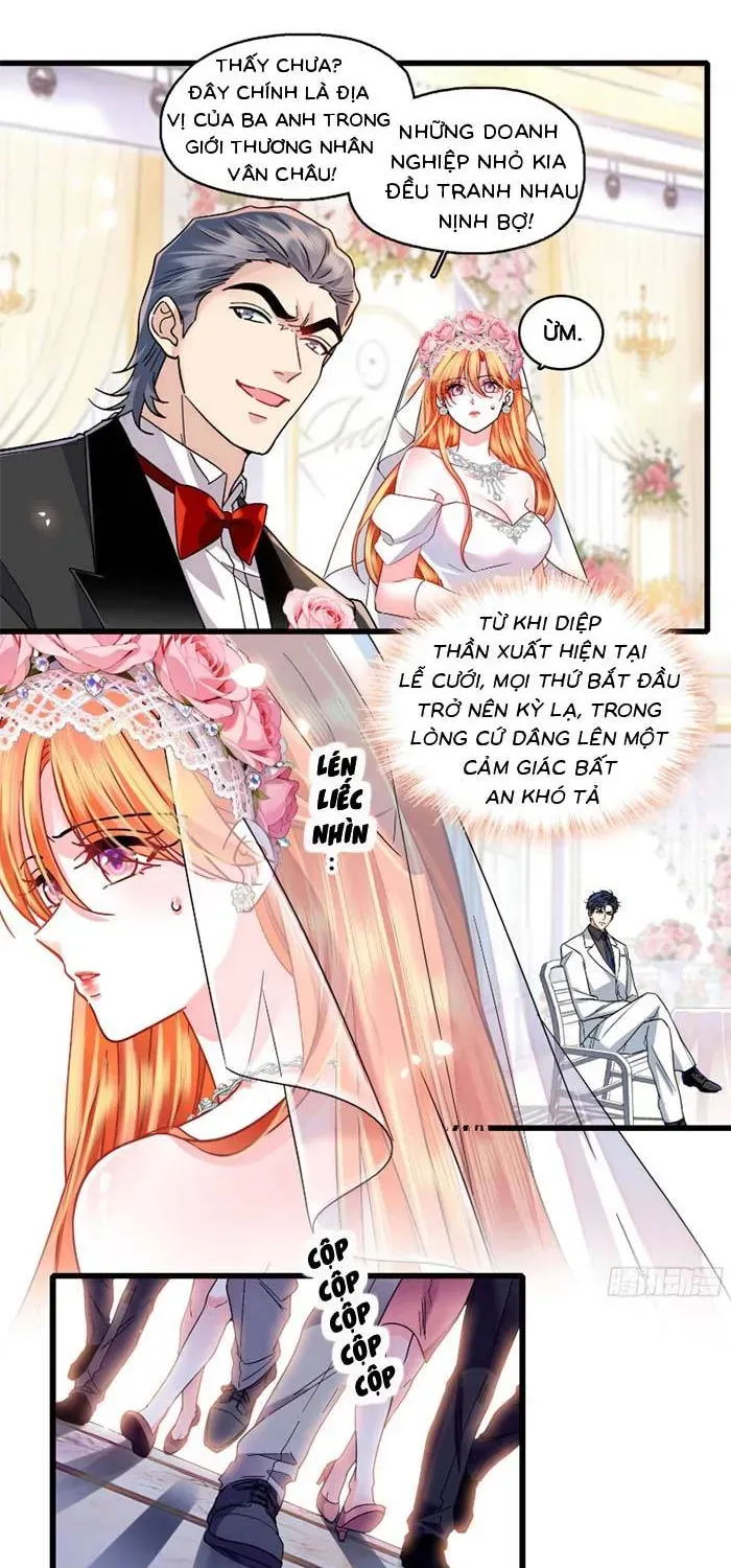 Tỷ Phú Ở Rể Chapter 35 - Trang 5