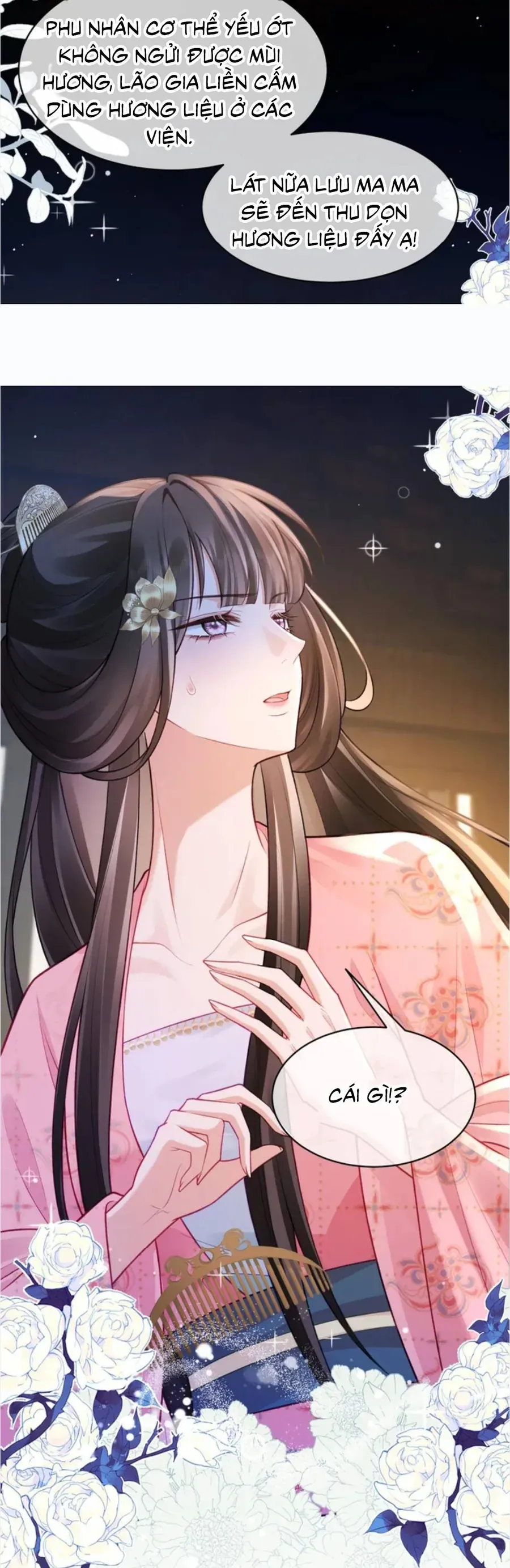 Tỷ Tỷ , Kiếp Này Ta Tiễn Tỷ Lên Đường Chapter 13 - Trang 27