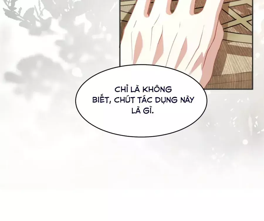 Tỷ Tỷ , Kiếp Này Ta Tiễn Tỷ Lên Đường Chapter 28 - Trang 16