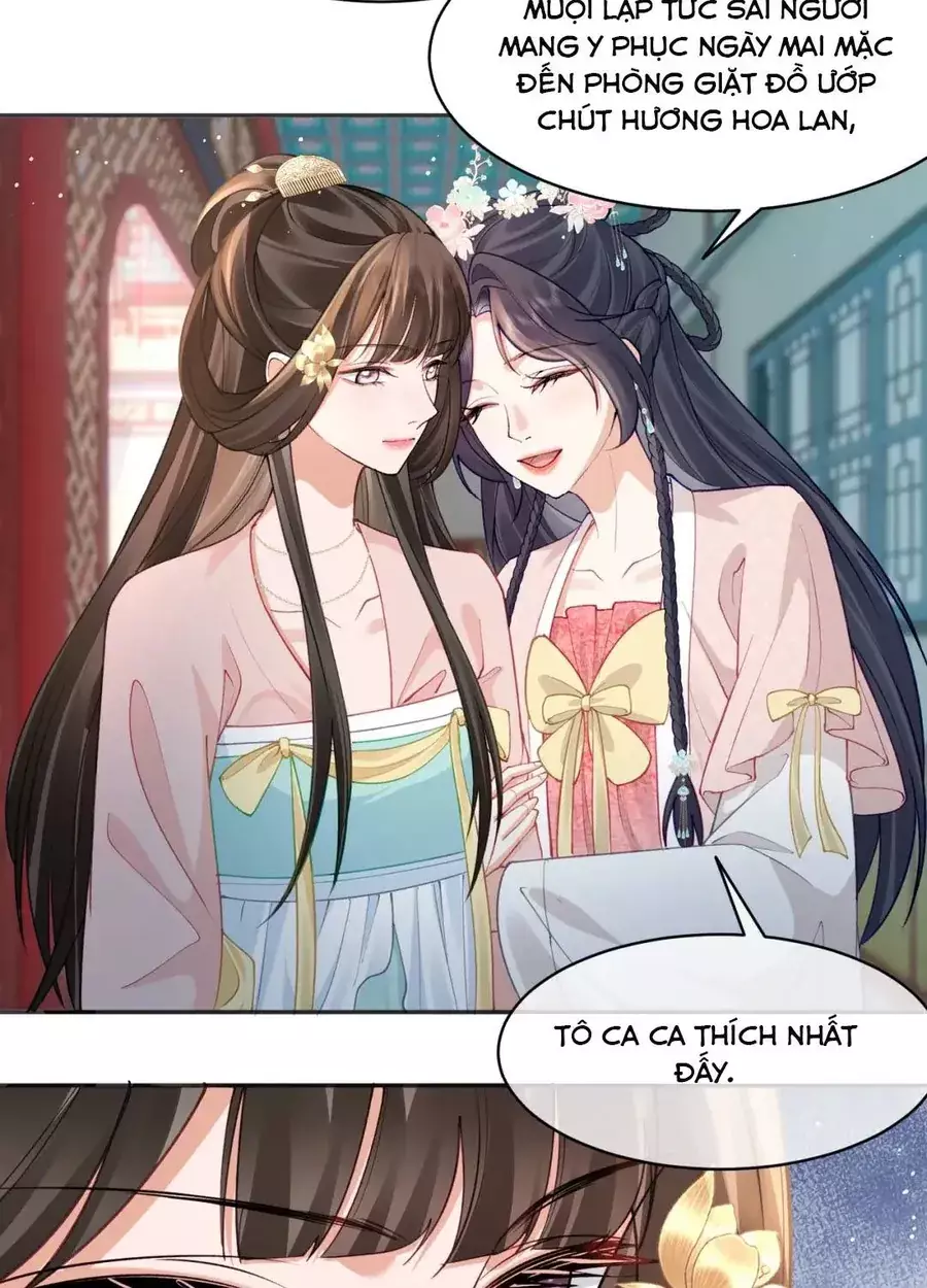 Tỷ Tỷ , Kiếp Này Ta Tiễn Tỷ Lên Đường Chapter 31 - Trang 7