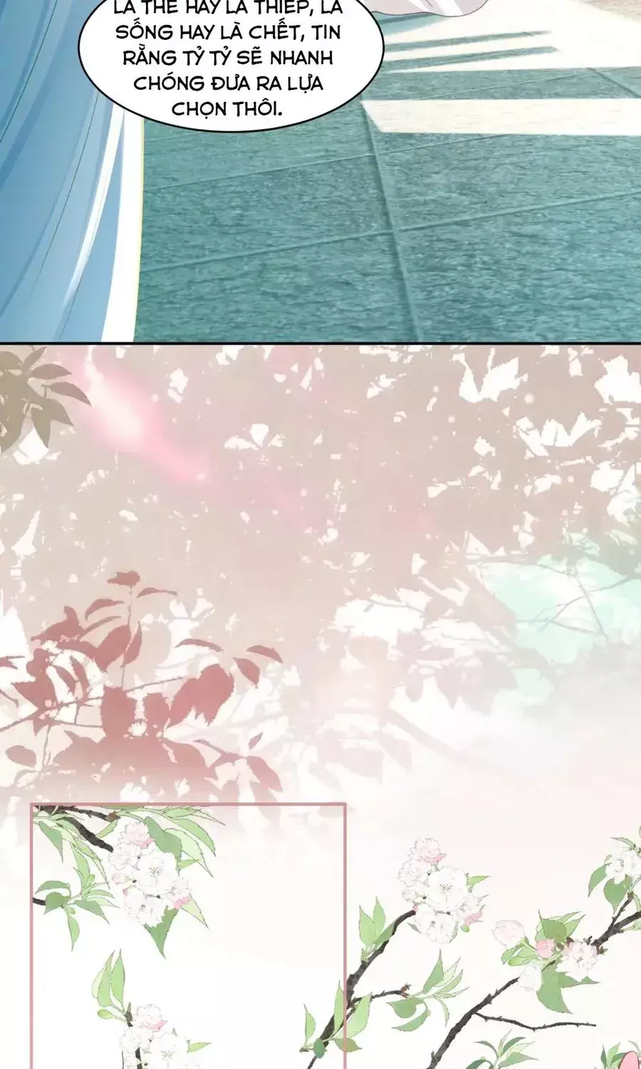 Tỷ Tỷ , Kiếp Này Ta Tiễn Tỷ Lên Đường Chapter 33 - Trang 18