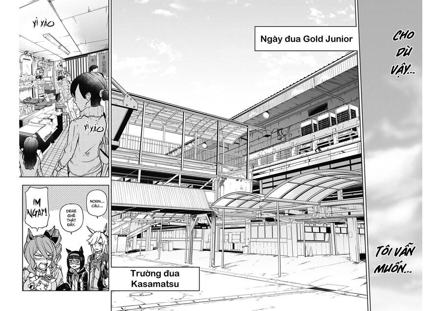 Uma Musume: Cinderella Gray Chapter 13 - Trang 6