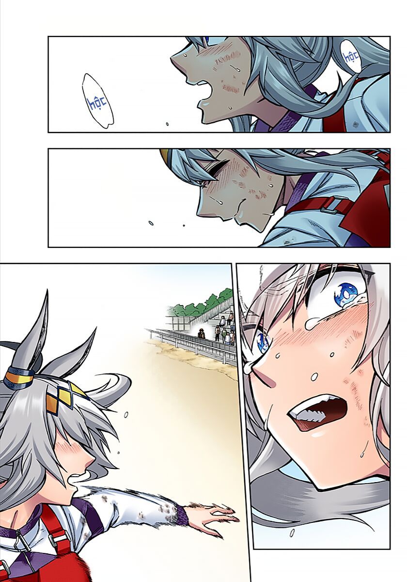 Uma Musume: Cinderella Gray Chapter 15 - Trang 13