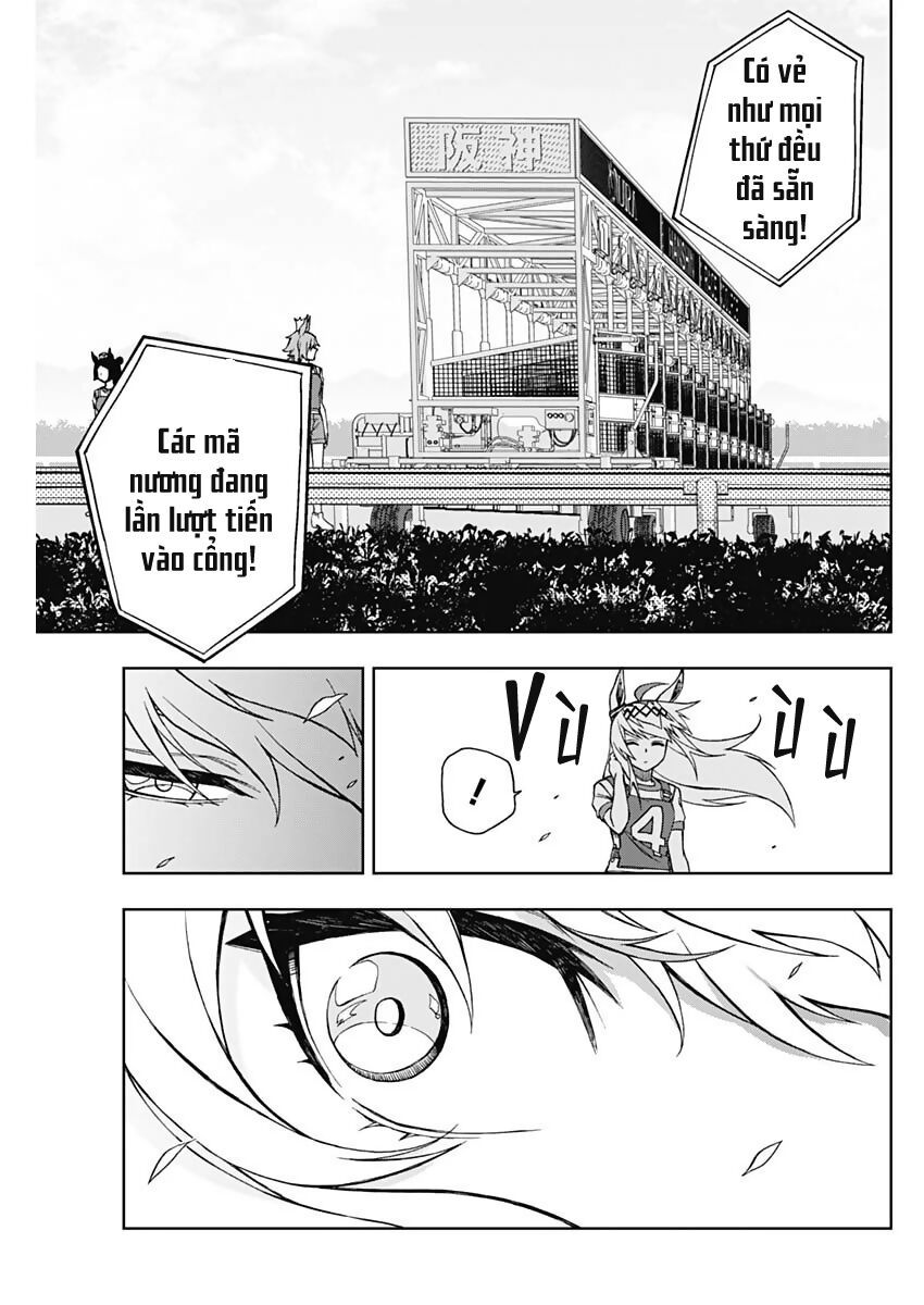 Uma Musume: Cinderella Gray Chapter 20 - Trang 11