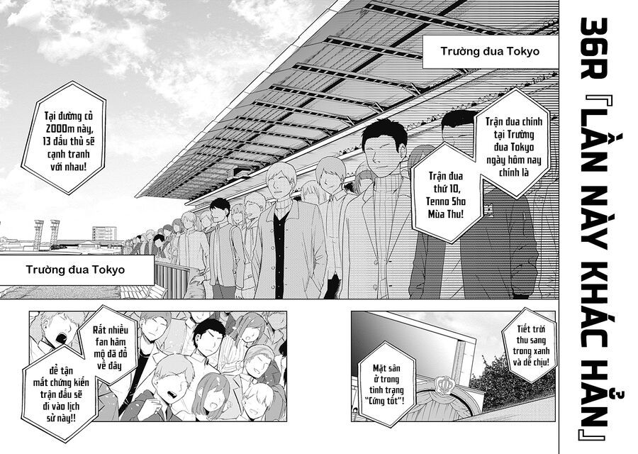 Uma Musume: Cinderella Gray Chapter 36 - Trang 3