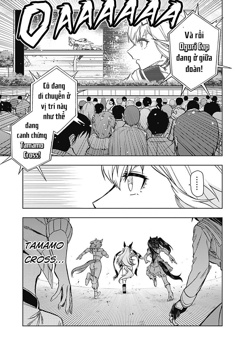 Uma Musume: Cinderella Gray Chapter 37 - Trang 16