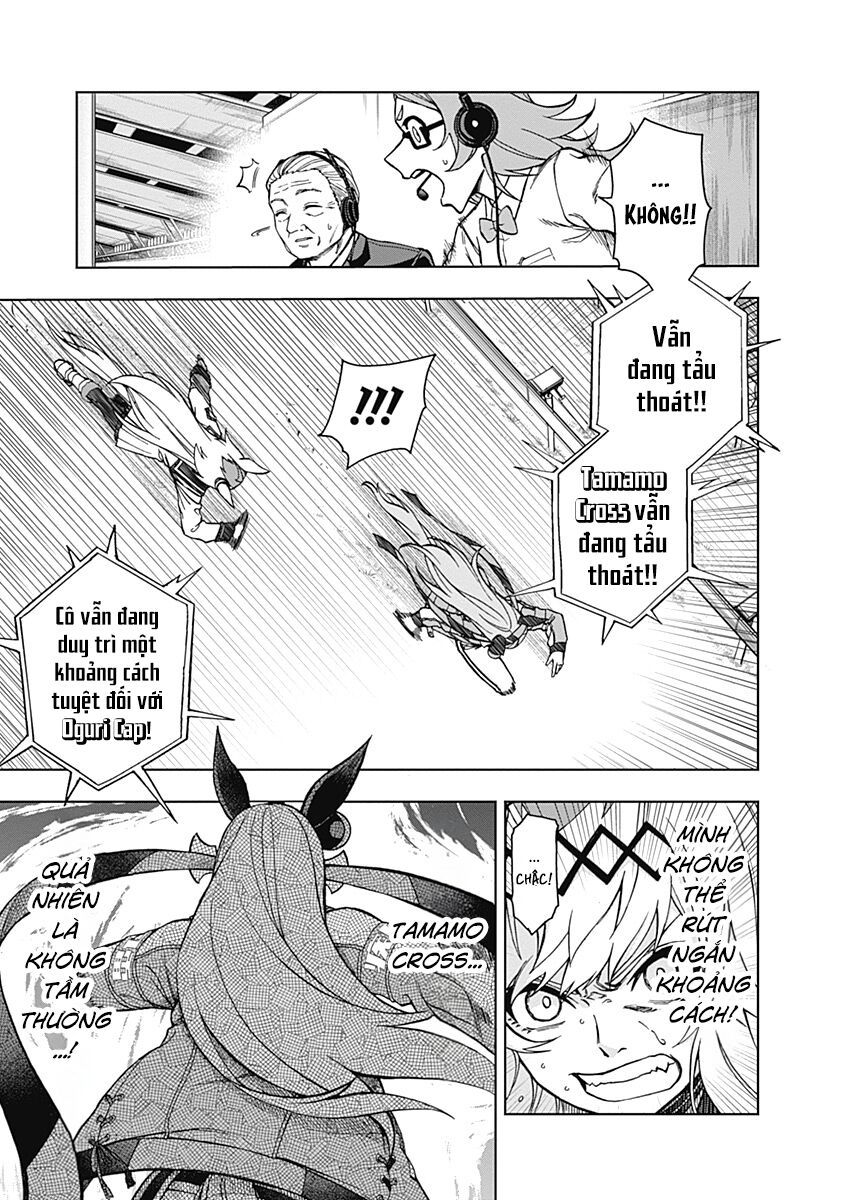 Uma Musume: Cinderella Gray Chapter 41 - Trang 4