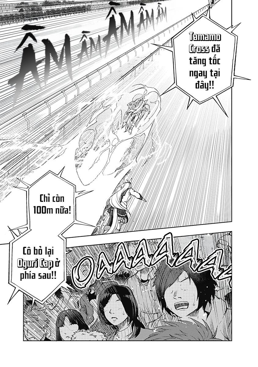 Uma Musume: Cinderella Gray Chapter 42 - Trang 7