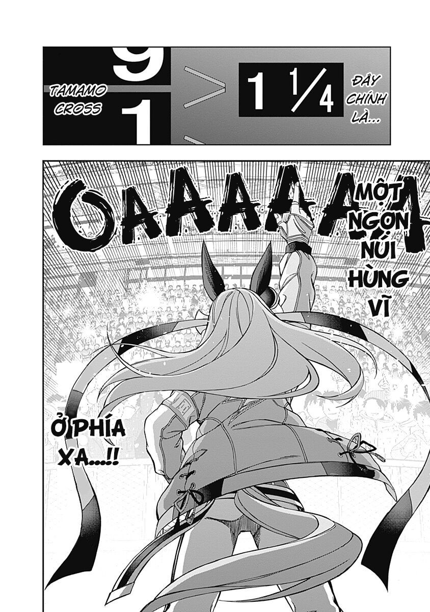 Uma Musume: Cinderella Gray Chapter 43 - Trang 19