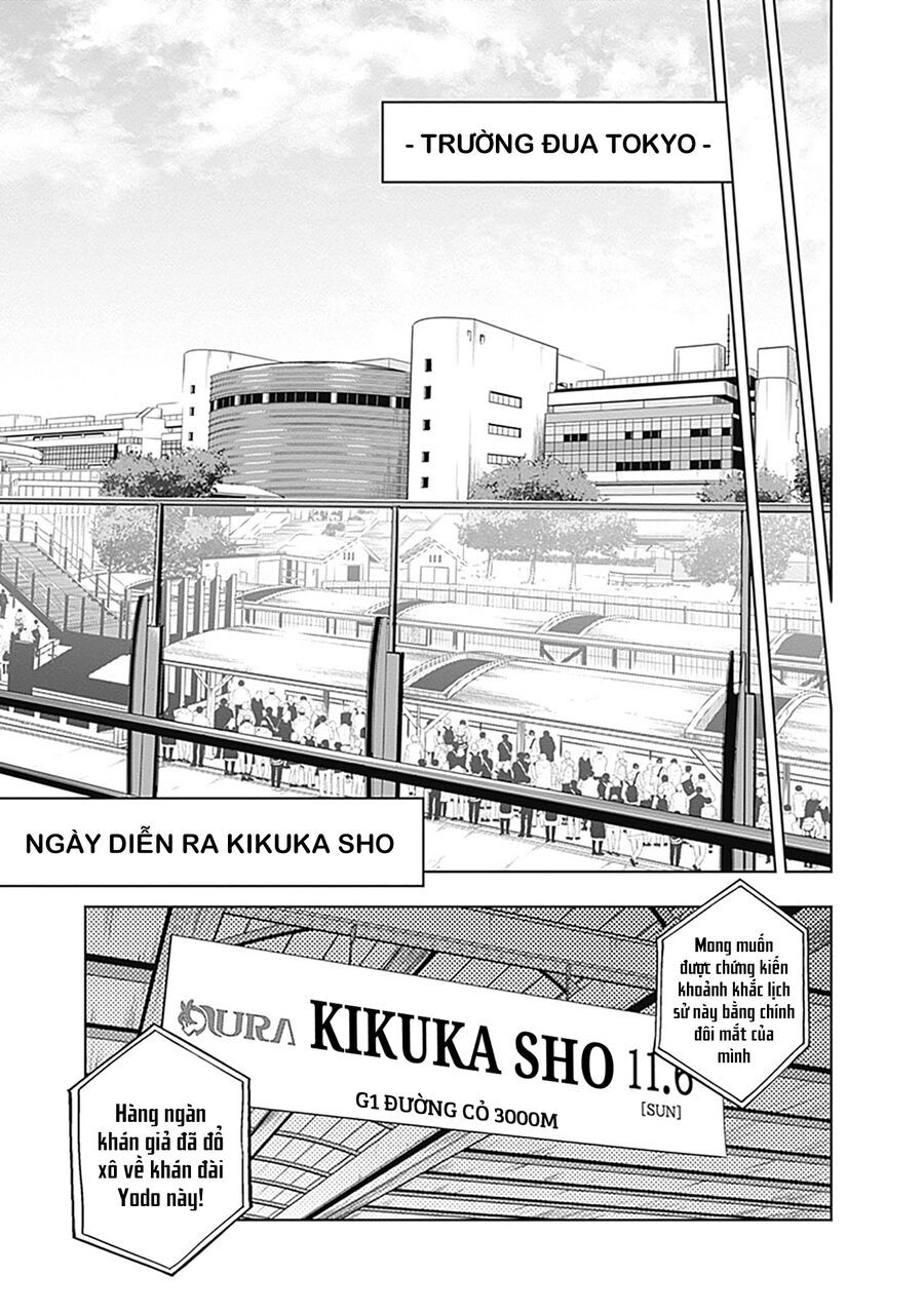 Uma Musume: Cinderella Gray Chapter 45 - Trang 10