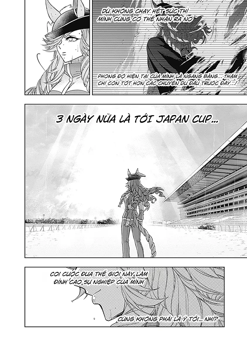 Uma Musume: Cinderella Gray Chapter 50 - Trang 12