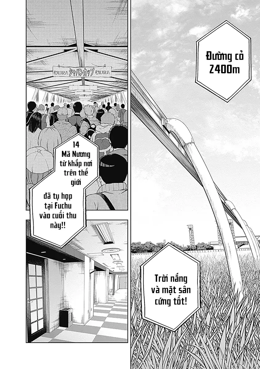 Uma Musume: Cinderella Gray Chapter 51 - Trang 5