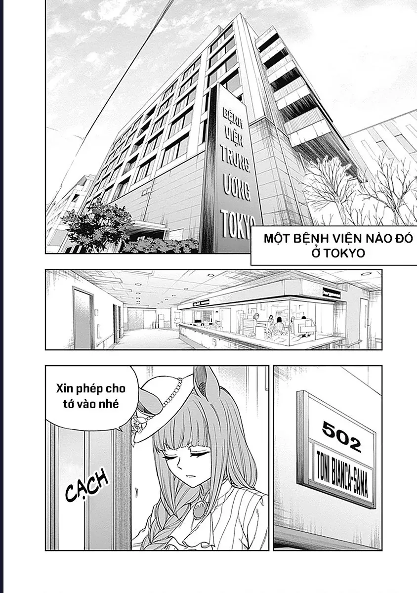 Uma Musume: Cinderella Gray Chapter 59 - Trang 12
