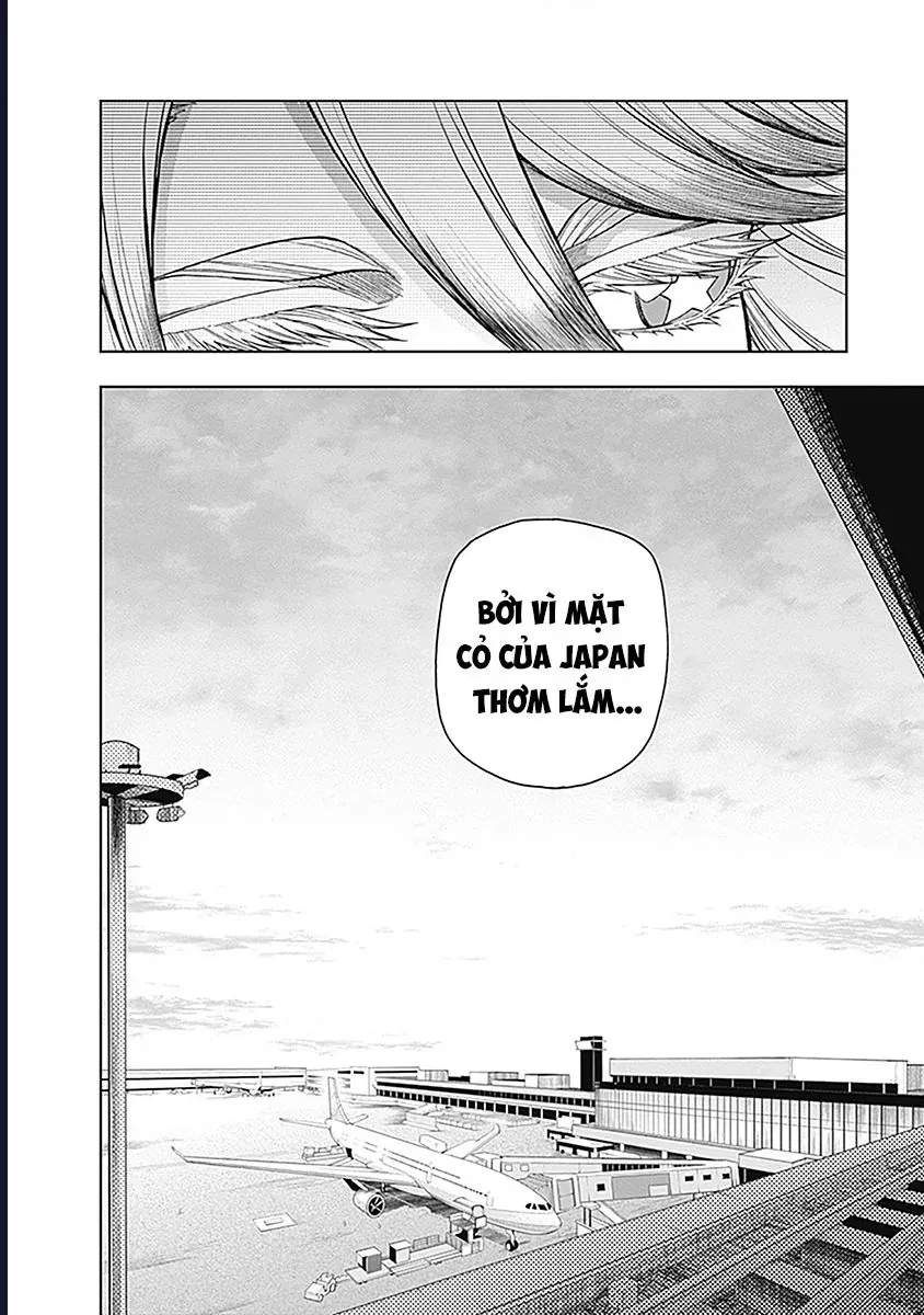 Uma Musume: Cinderella Gray Chapter 59 - Trang 18
