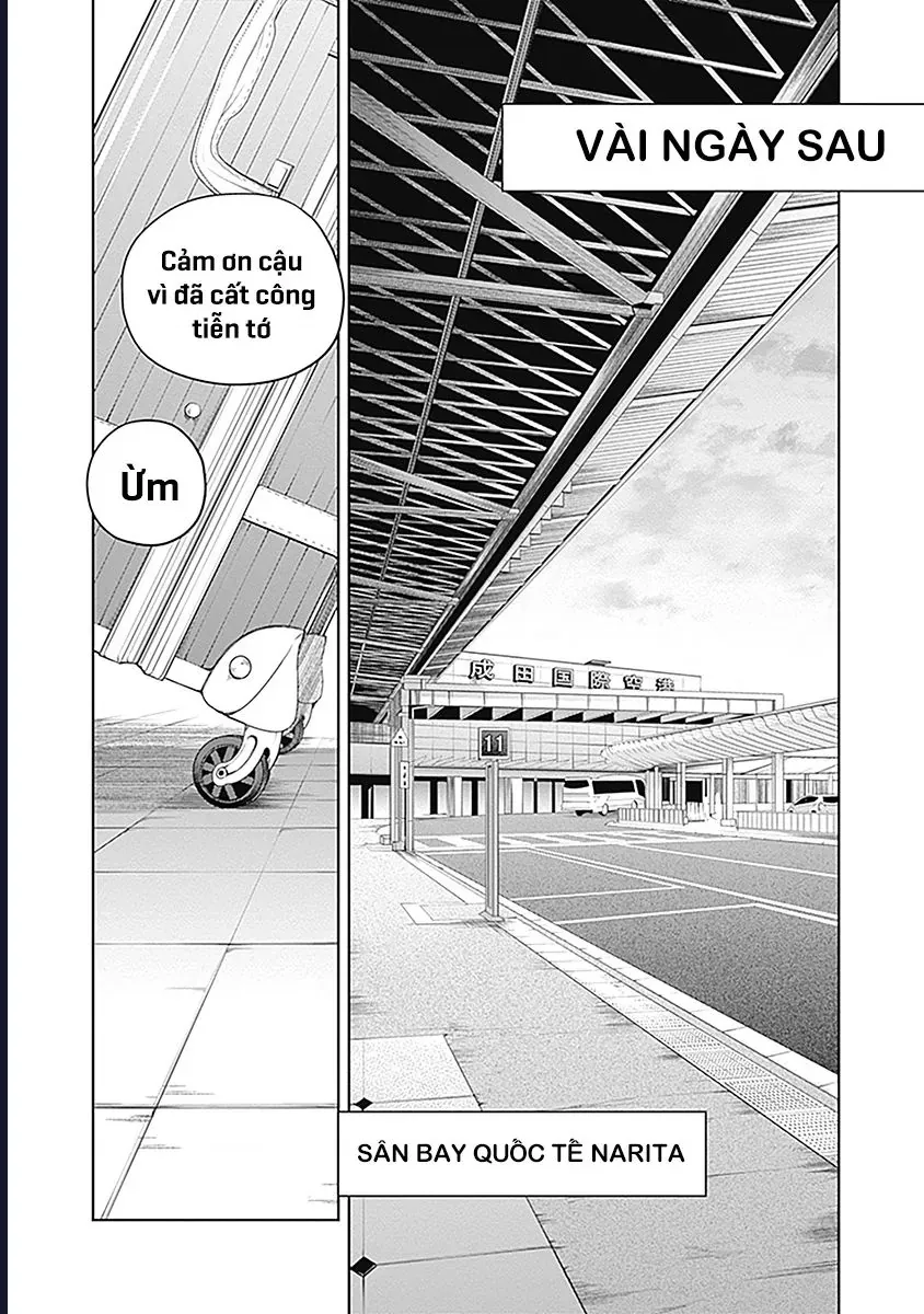 Uma Musume: Cinderella Gray Chapter 59 - Trang 9