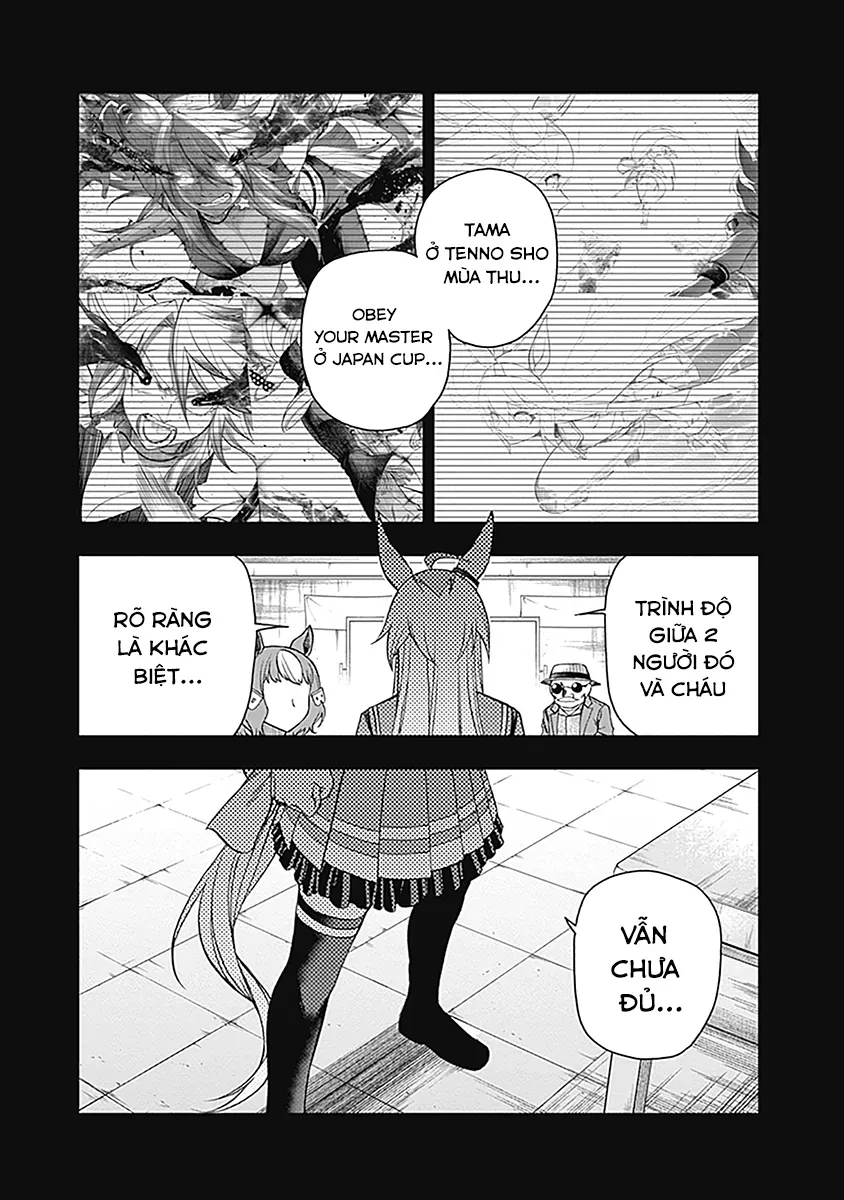 Uma Musume: Cinderella Gray Chapter 61 - Trang 11