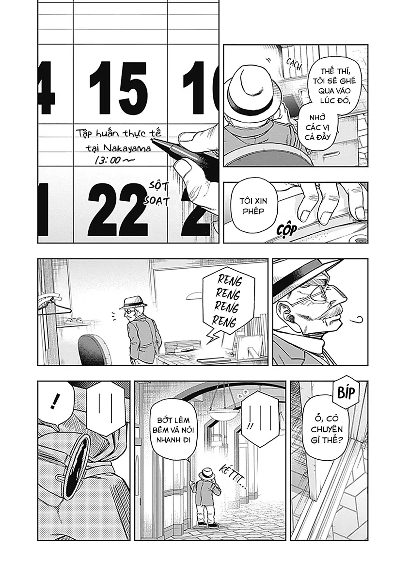 Uma Musume: Cinderella Gray Chapter 61 - Trang 19