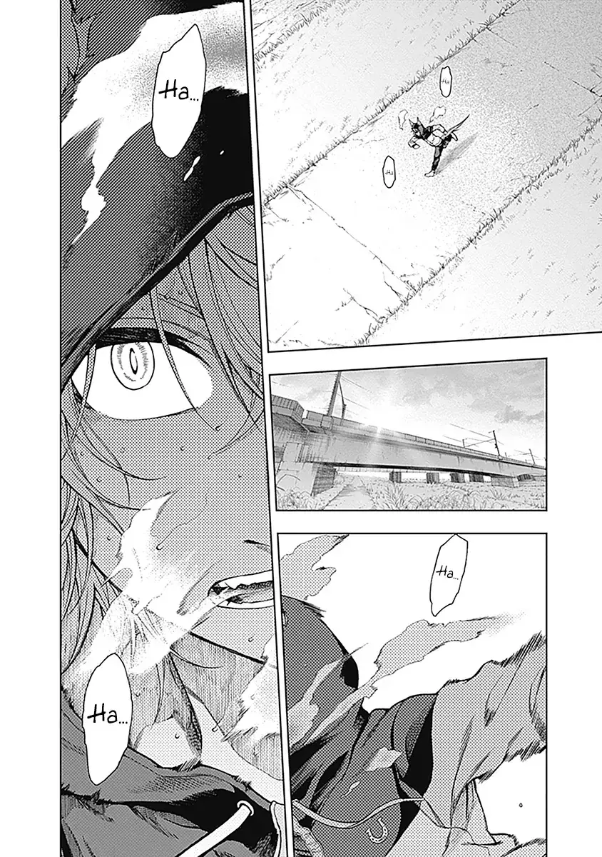 Uma Musume: Cinderella Gray Chapter 61 - Trang 4