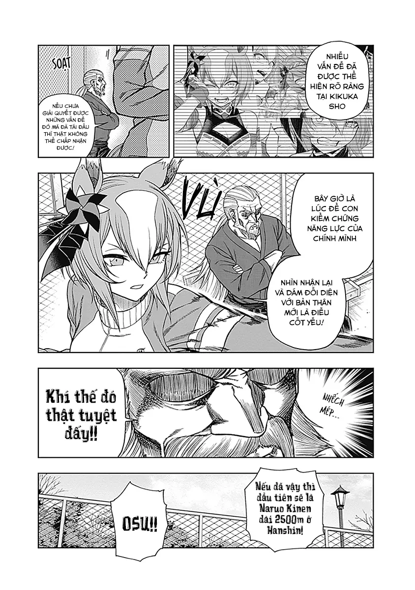 Uma Musume: Cinderella Gray Chapter 61 - Trang 9