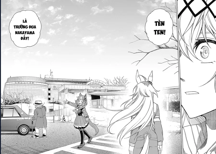 Uma Musume: Cinderella Gray Chapter 62 - Trang 4