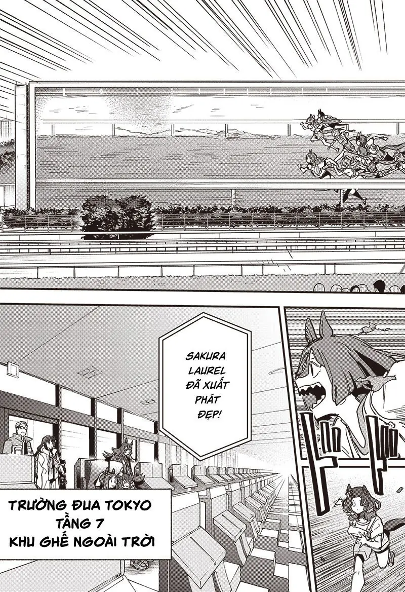 Uma Musume Pretty Derby: Star Blossom Chapter 11 - Trang 12