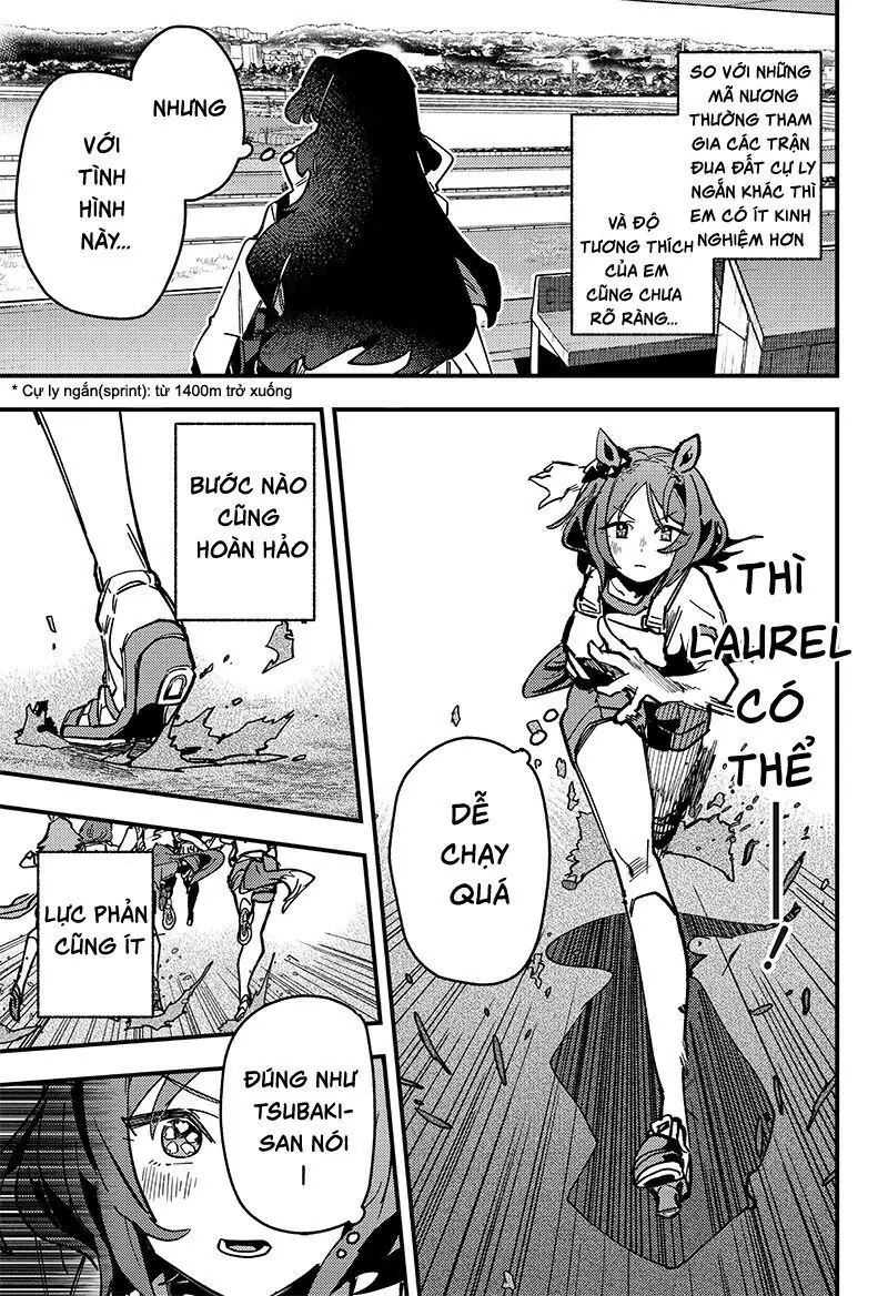 Uma Musume Pretty Derby: Star Blossom Chapter 11 - Trang 14