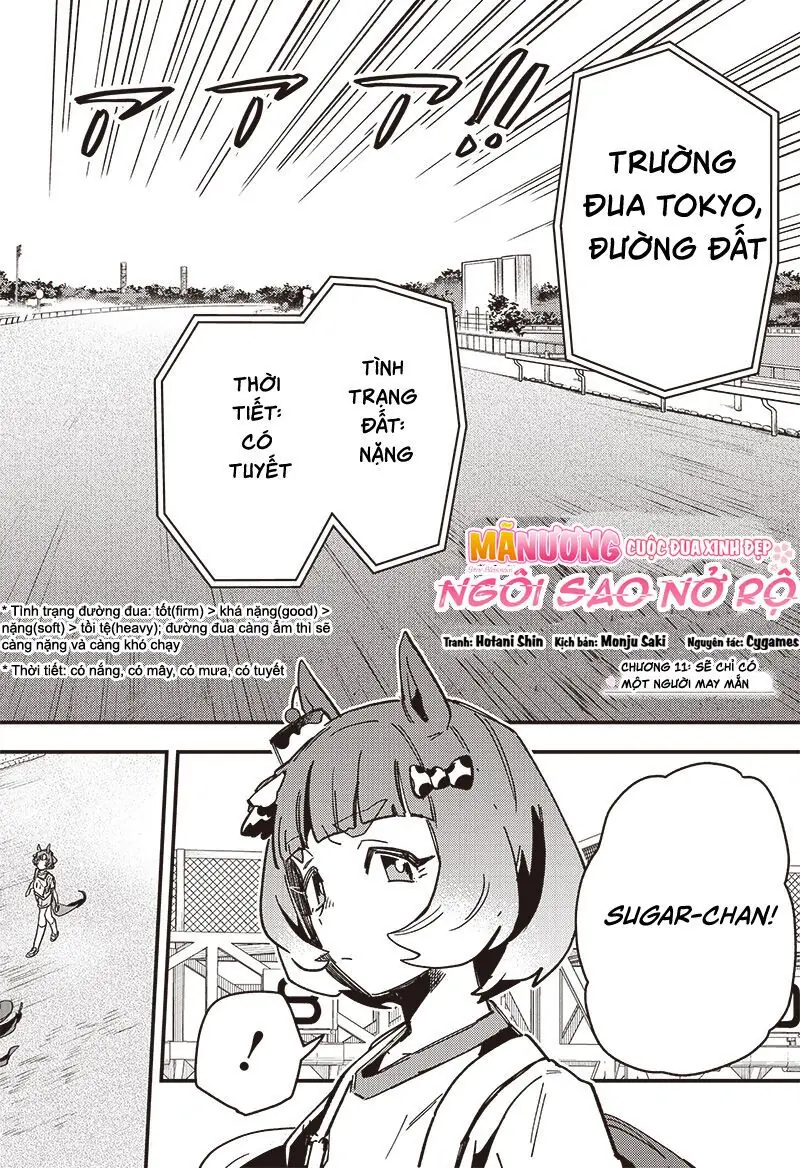 Uma Musume Pretty Derby: Star Blossom Chapter 11 - Trang 5