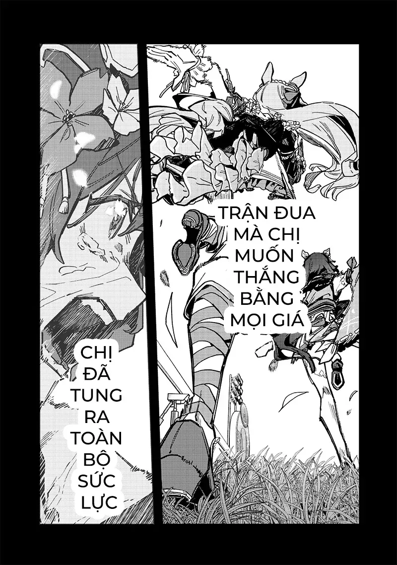 Uma Musume - Pretty Derby: Star Blossom Chapter 31 - Trang 17