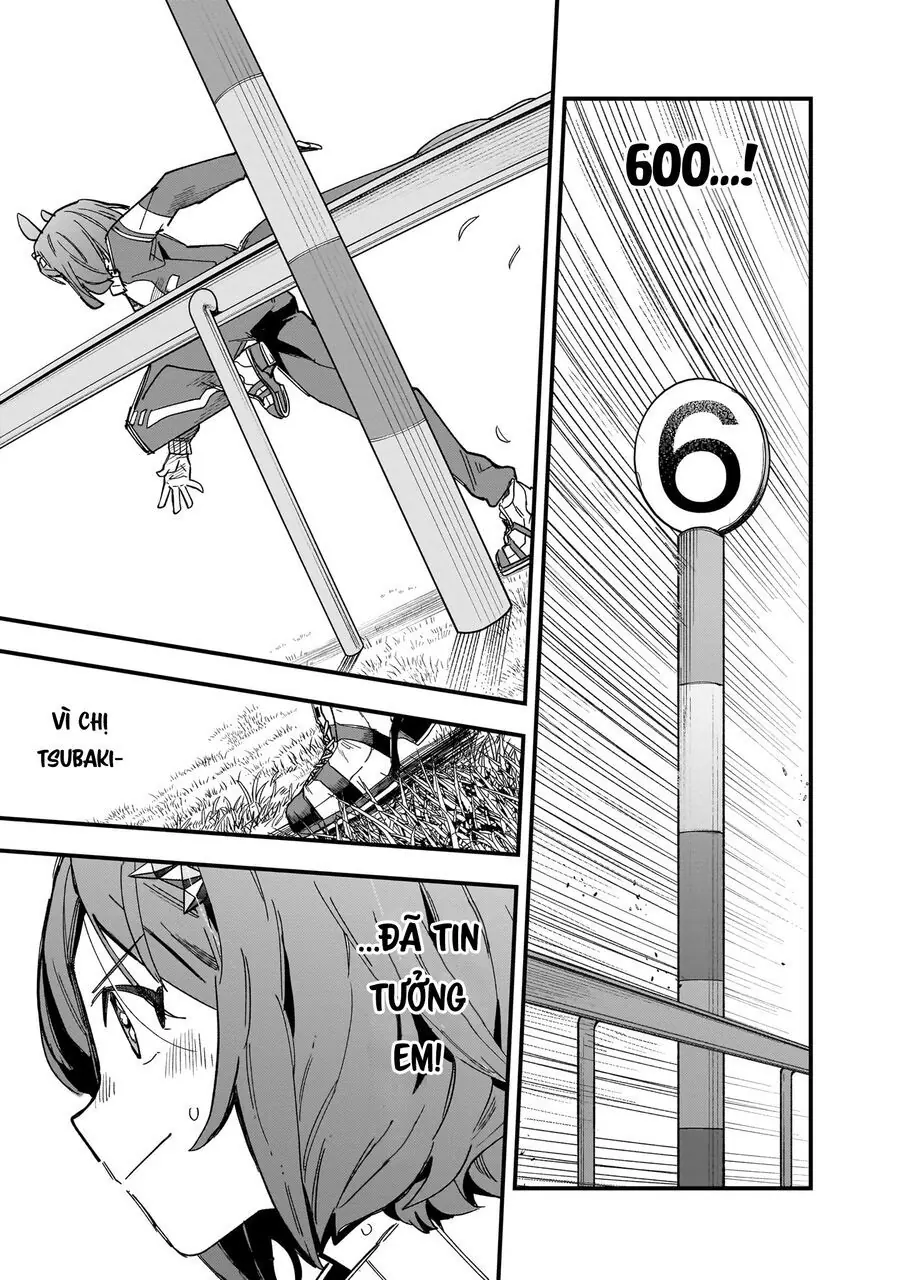 Uma Musume - Pretty Derby: Star Blossom Chapter 4 - Trang 12