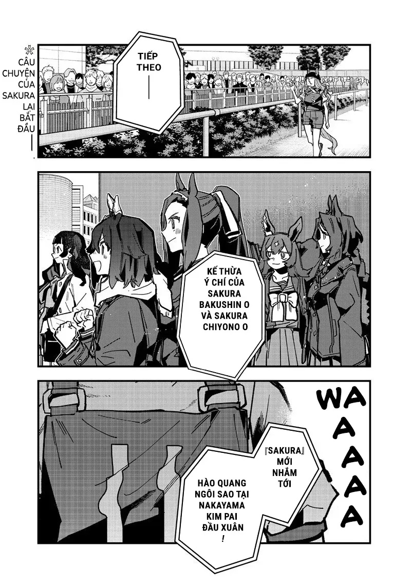 Uma Musume Pretty Derby: Star Blossom Chapter 48 - Trang 4