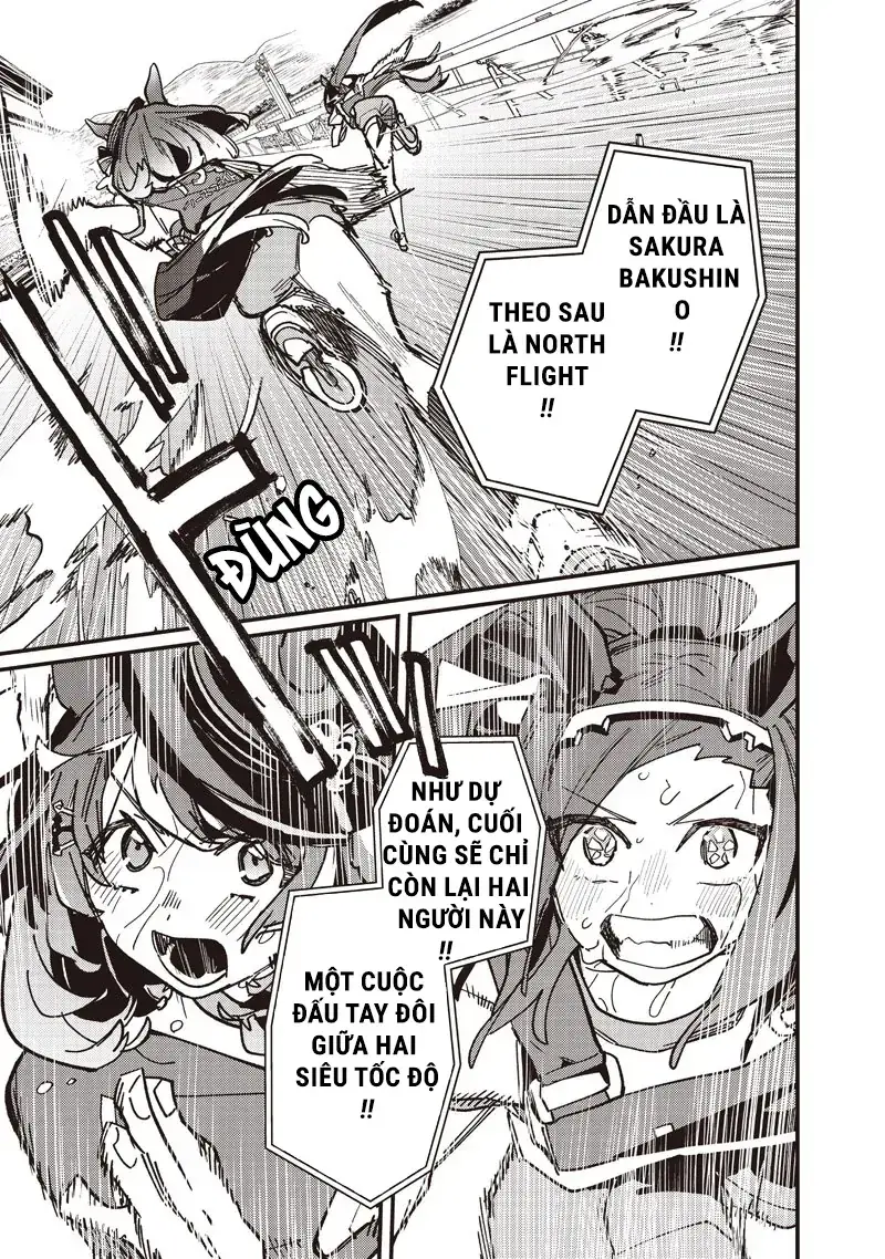 Uma Musume Pretty Derby: Star Blossom Chapter 49 - Trang 13