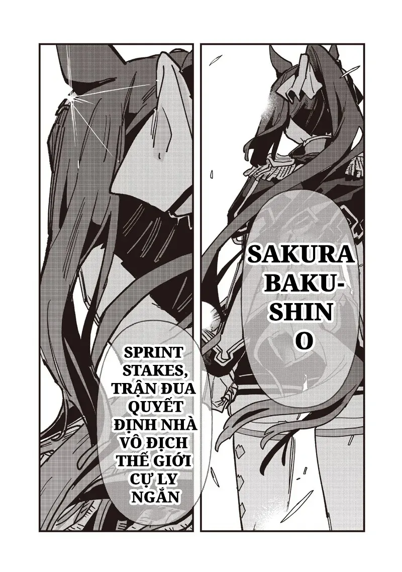 Uma Musume Pretty Derby: Star Blossom Chapter 50 - Trang 16