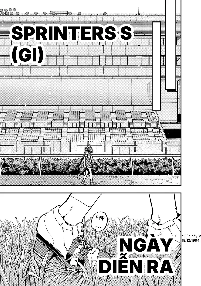 Uma Musume Pretty Derby: Star Blossom Chapter 52 - Trang 24