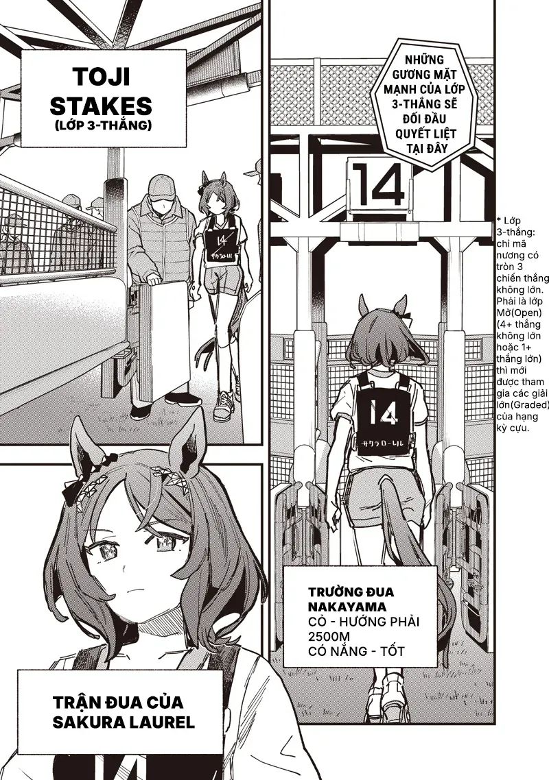 Uma Musume Pretty Derby: Star Blossom Chapter 53 - Trang 6