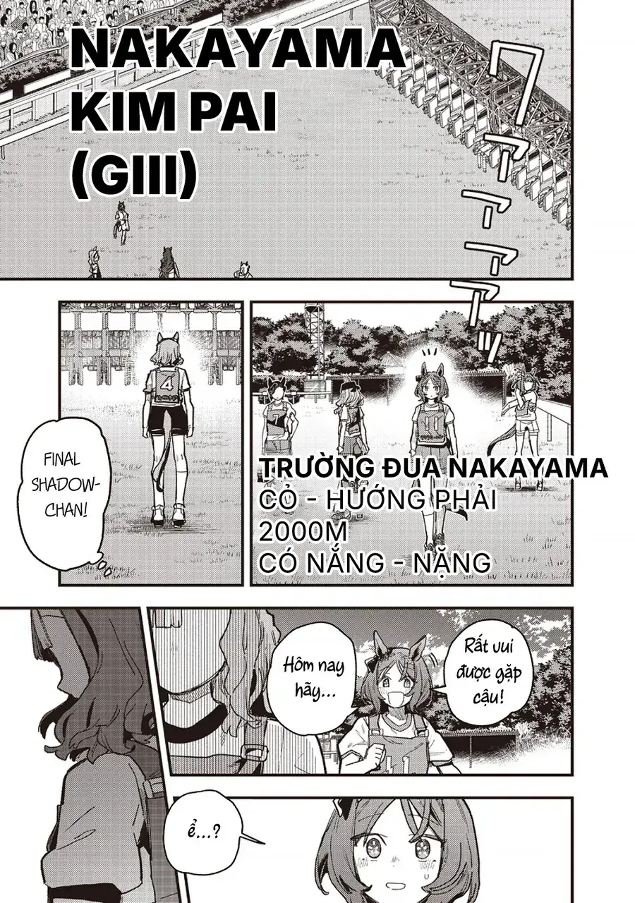 Uma Musume Pretty Derby: Star Blossom Chapter 55 - Trang 23
