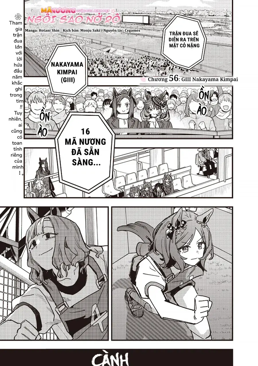 Uma Musume Pretty Derby: Star Blossom Chapter 56 - Trang 4