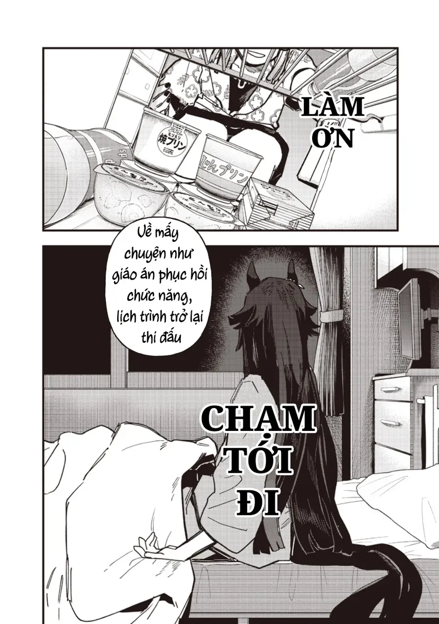 Uma Musume Pretty Derby: Star Blossom Chapter 59 - Trang 15