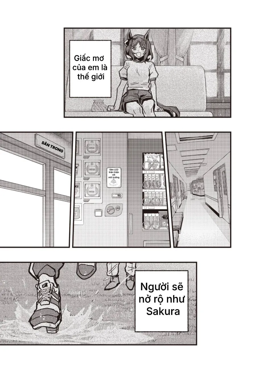 Uma Musume Pretty Derby: Star Blossom Chapter 60 - Trang 16