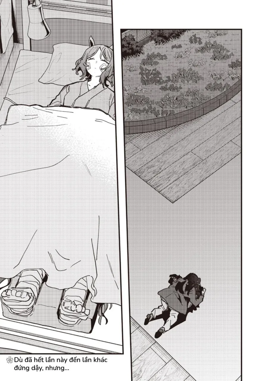 Uma Musume Pretty Derby: Star Blossom Chapter 60 - Trang 20