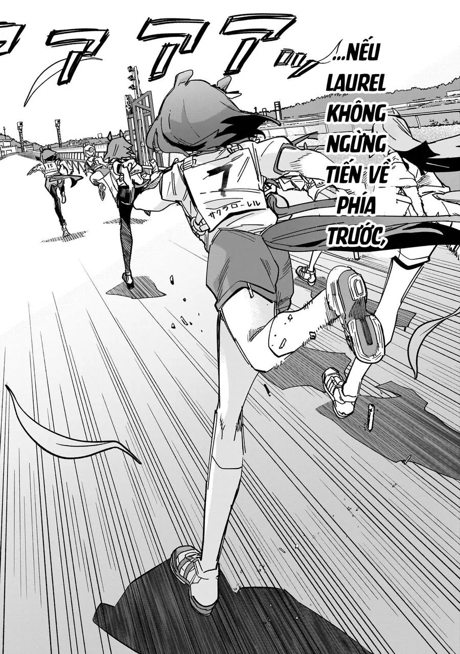 Uma Musume - Pretty Derby: Star Blossom Chapter 8 - Trang 15