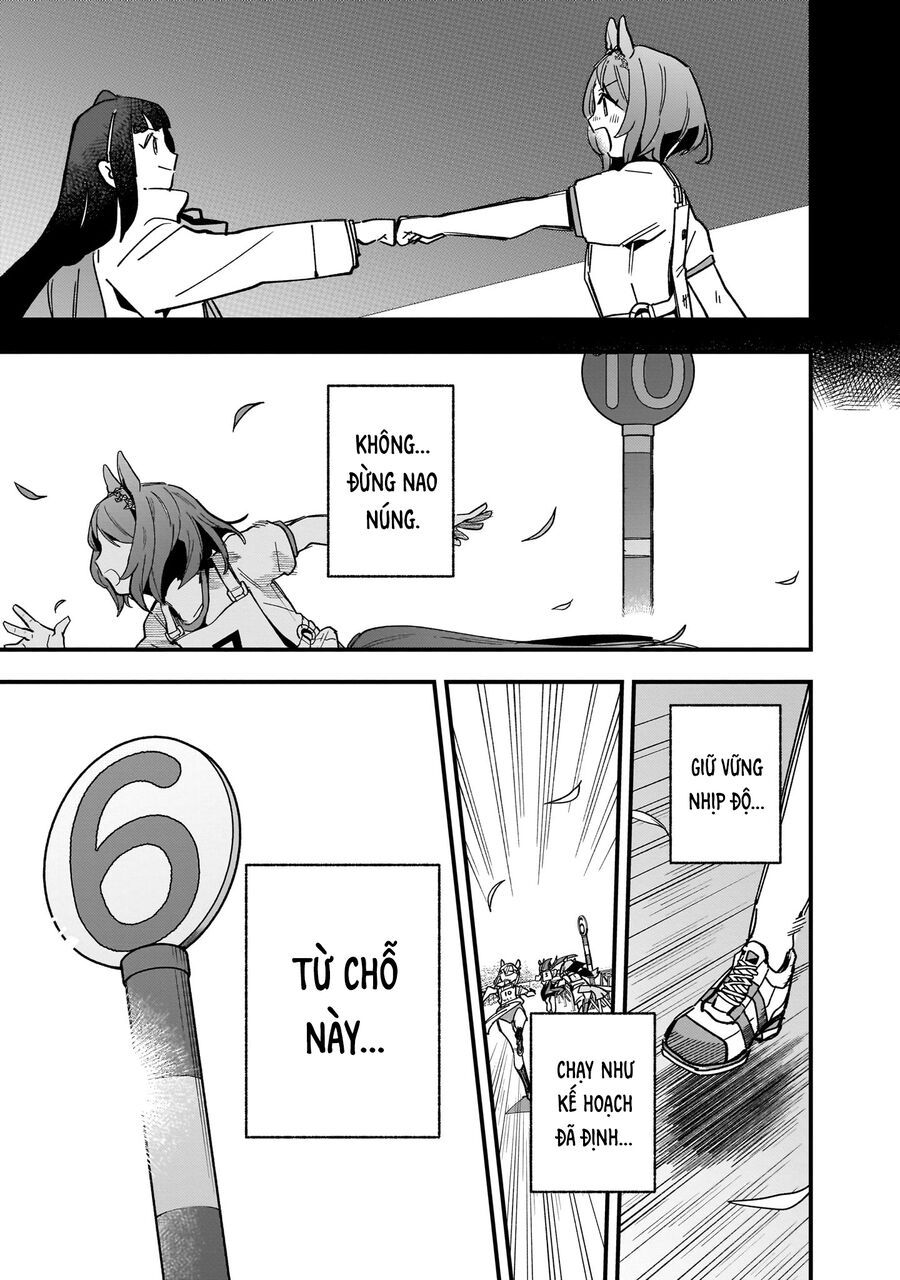 Uma Musume Pretty Derby: Star Blossom Chapter 8 - Trang 6