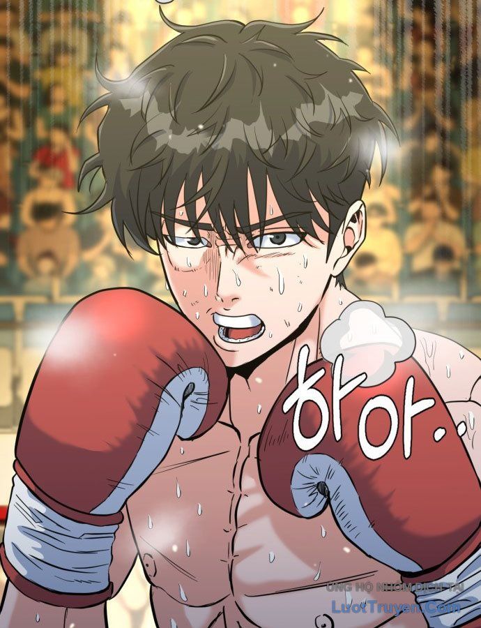 Under Boxer Chapter 1 - Trang 6